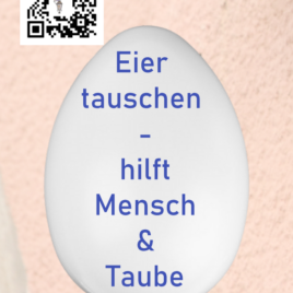 Aufkleber Eier tauschen- hilft Mensch& Taube