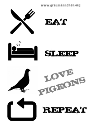 Aufkleber EAT, SLEEP, LOVE PIGEONS, REPEAT