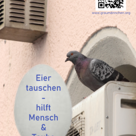 Flyer Eier tauschen- hilft Mensch und Taube