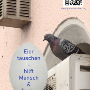 Flyer Eier tauschen- hilft Mensch und Taube