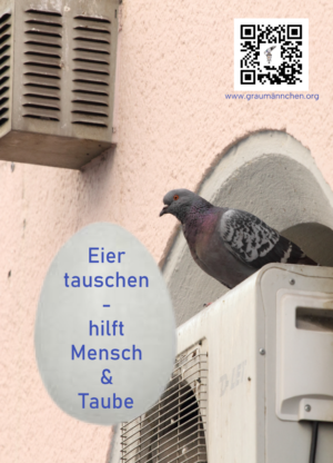 Flyer Eier tauschen- hilft Mensch und Taube -10er Pack