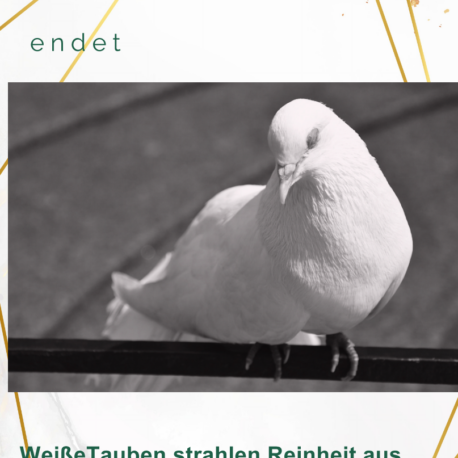 Hochzeitstauben au├ƒen_Page_1