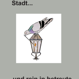 Flyer Tauben raus aus der Stadt…