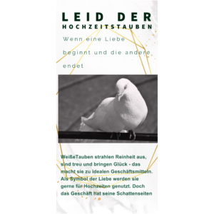 Flyer Leid der Hochzeitstauben