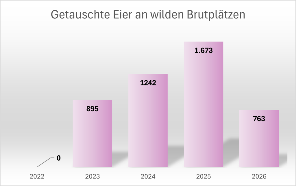 Bild1-2026-1
