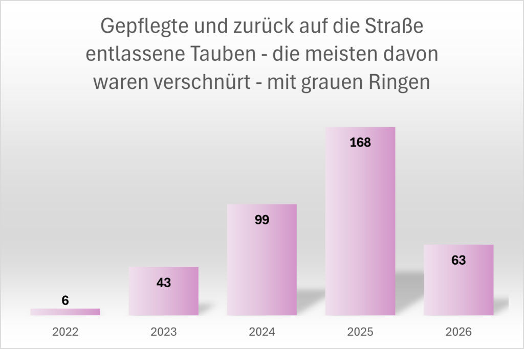 Statistik_Graue_Ringe