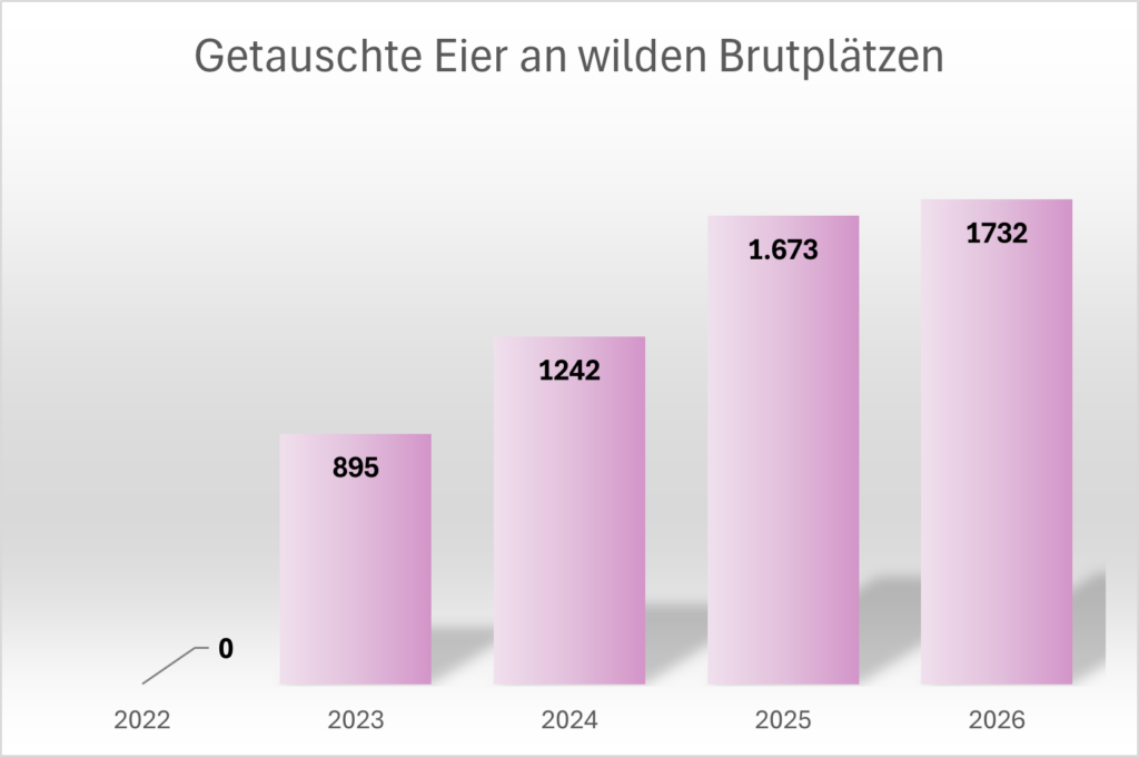 Statistik_Wilde_Brutplätze