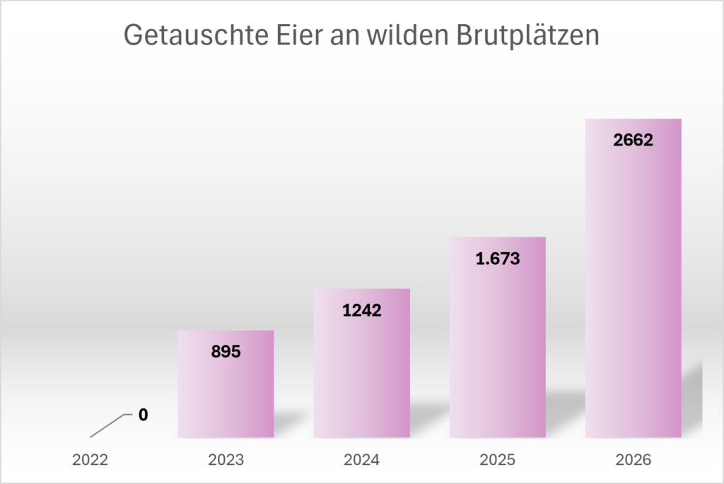 Statistik_Wilde_Brutplätze (1)