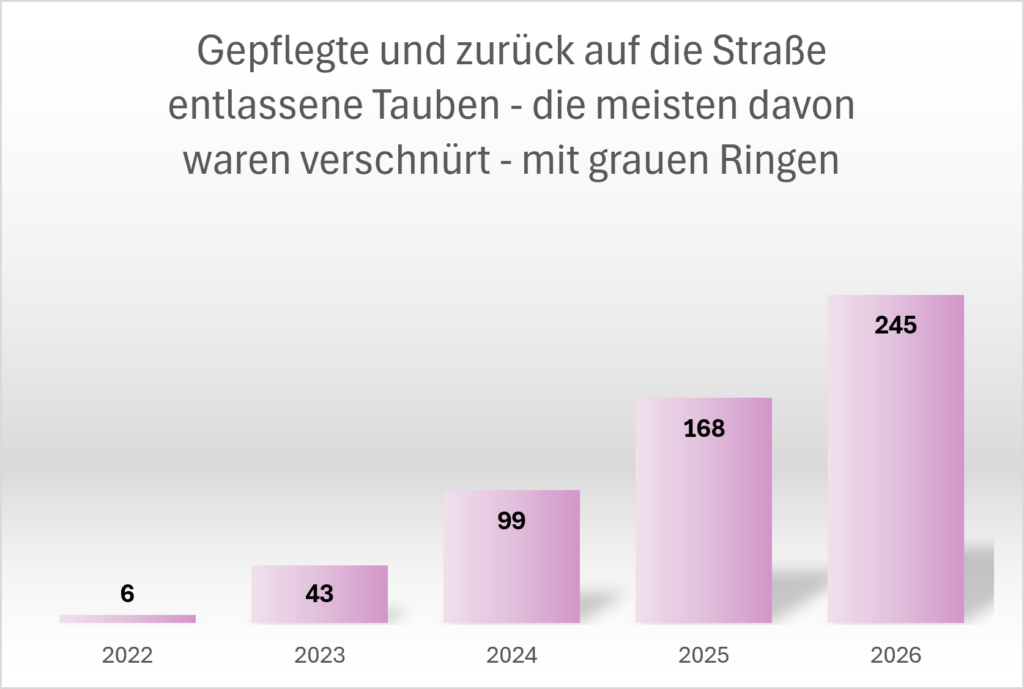 Statistik_Graue_Ringe