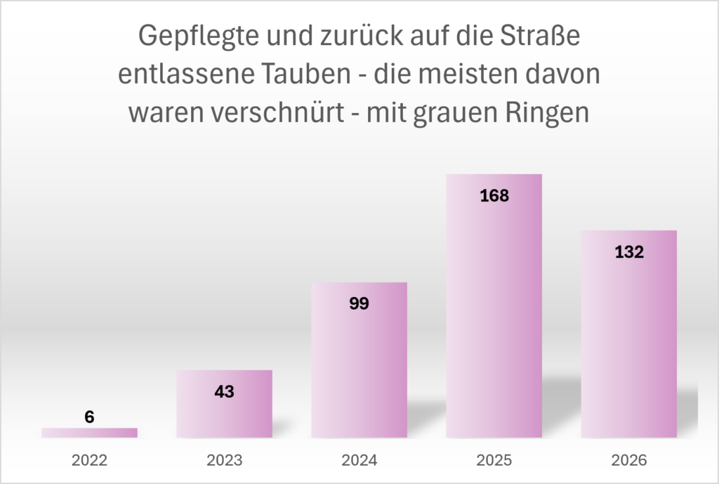 Statistik_Graue_Ringe