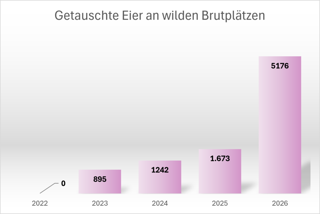 Statistik_Wilde_Brutplätze