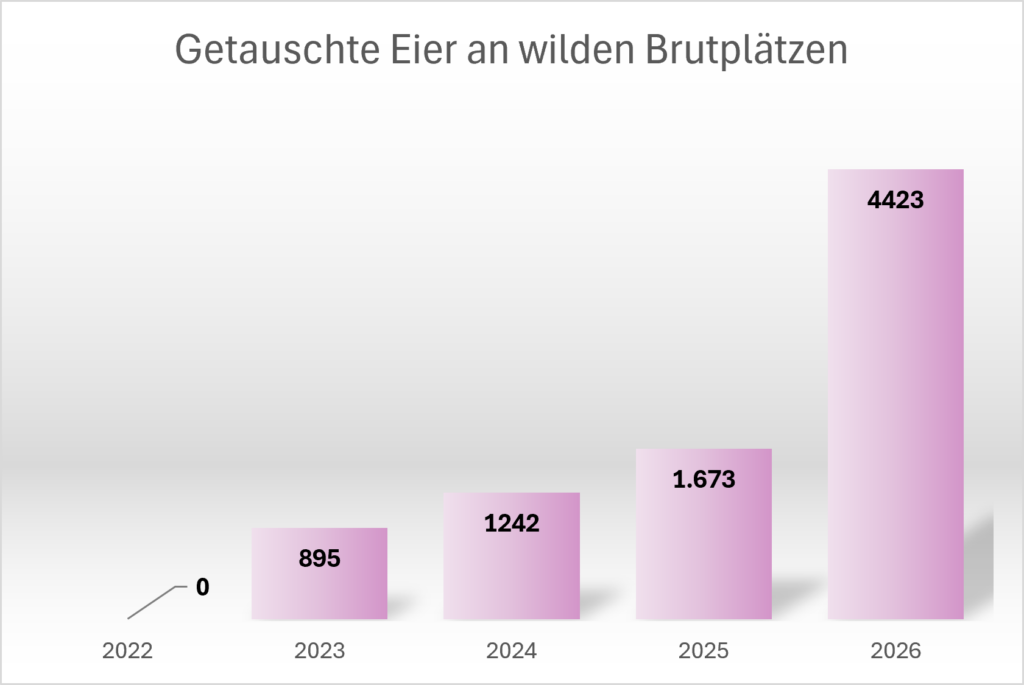 Statistik_Wilde_Brutplätze